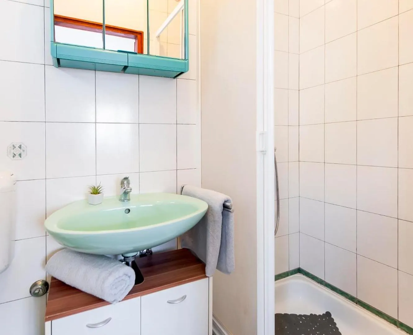 Apartments And Room Silvana Rovinj 3*,